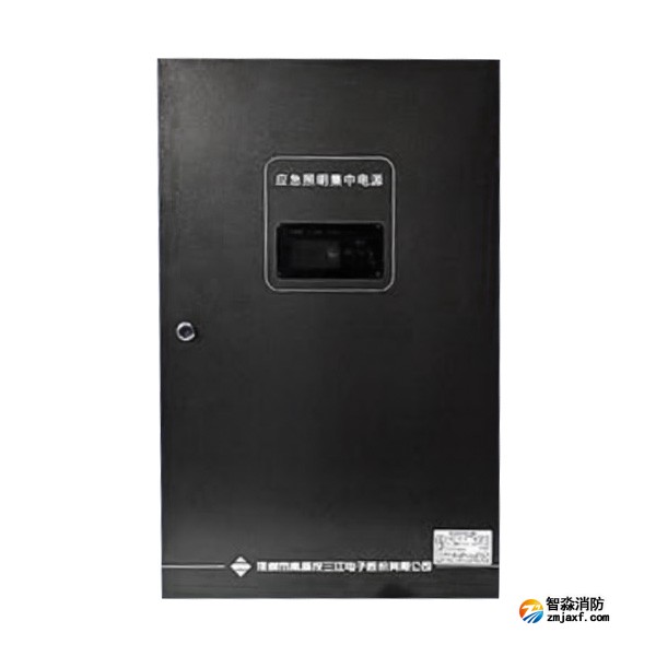 河北海湾SJ-D-0.6KVA/P601AC应急照明集中电源 4回路 壁挂式